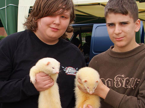 FERRETS ARE FUN SAY JAM & ZACK at SPEEN 9th June 2007 
