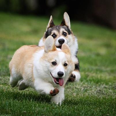 WORDPRESS CAMP WINDSOR ENGLAND 2013